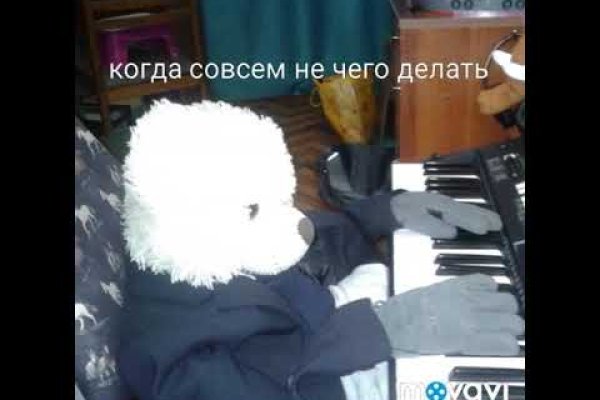 Скачать кракен тор