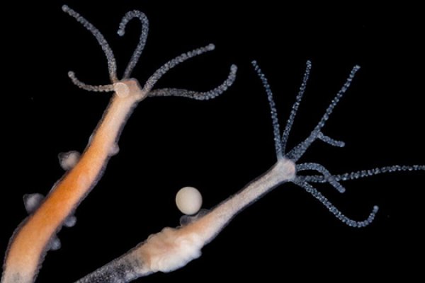 Kraken ссылка kraken link24 info
