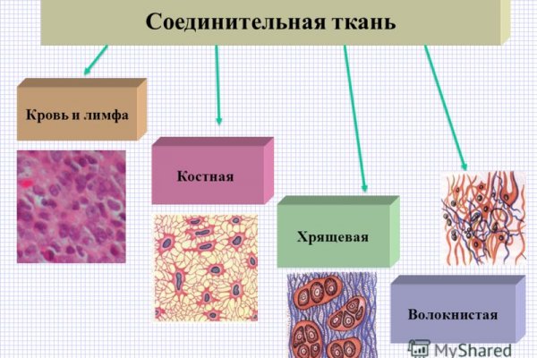 Кракен официальный сайт онион